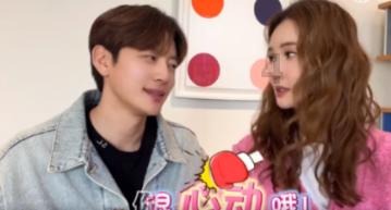 小猫钓鱼正版下载中文版